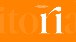 branding-typography-teritoria