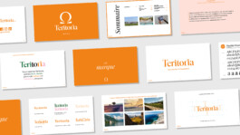 Teritoria-brand-guidelines