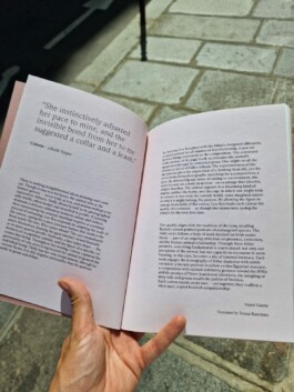 lou ros TWILLY book
