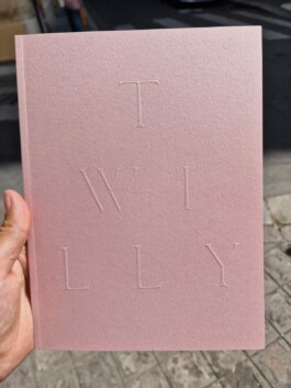 lou ros TWILLY book