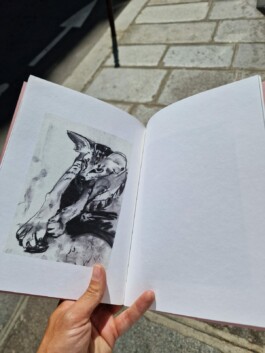 lou ros TWILLY book