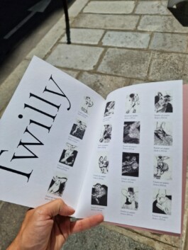 lou ros TWILLY book